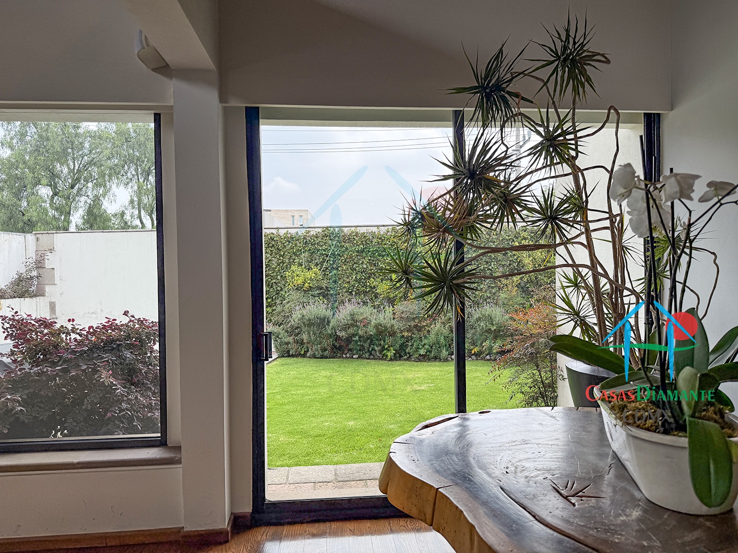 Jardines del Pedregal Casa Árbol B - Sala 13